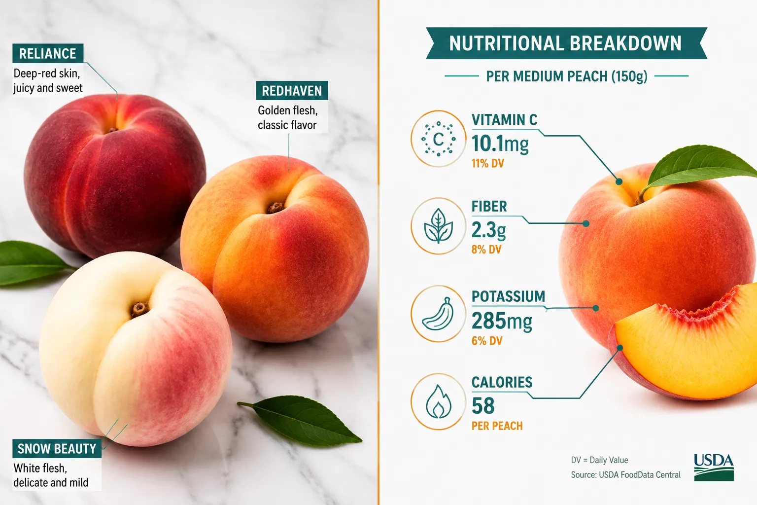 Best Peaches to Eat on Eat a Peach Day, Plus Recipes